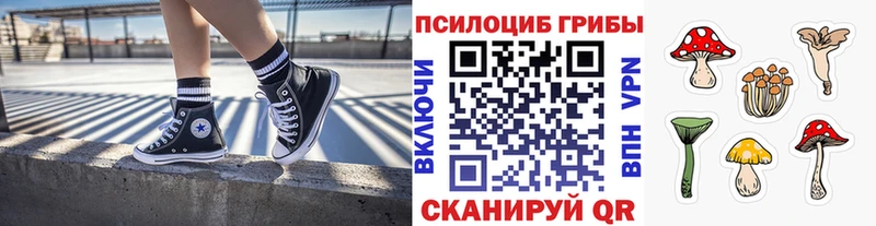 Псилоцибиновые грибы Psilocybine cubensis  Купить  Кяхта 